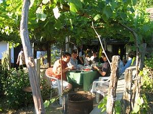 Garten vom Ferienhaus in Ozora