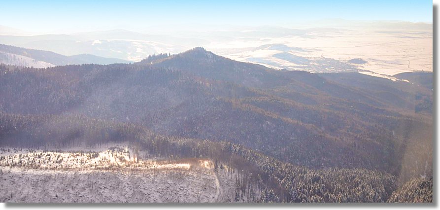 Waldgrundstcke Forste im Kreis Brasov von Rumnien