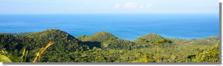 Grundstcke am Meer auf Jamaika kaufen vom Immobilienmakler