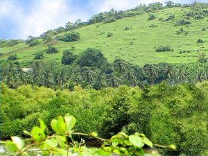 Grundstück der Einfamilienhäuser Grundstück der Einfamilienhäuser