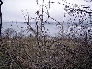 Baugrundstck in Sozopol Bulgarien