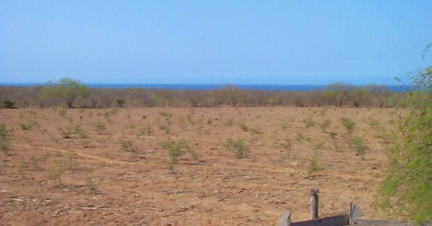 groes Baugrundstck in Mexiko