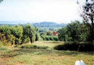 Grundstck vom Haus in Vonyarcvashegy Ungarn