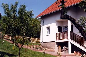 Ungarn Ferienhaus Wohnhaus am Balaton in Vonyarcvashegy