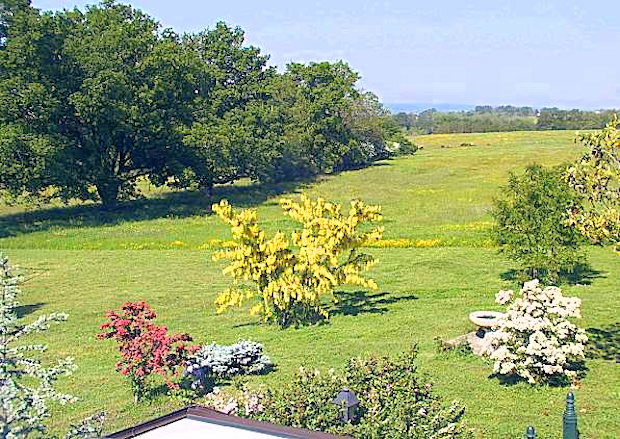 Grundstck vom Landsitz