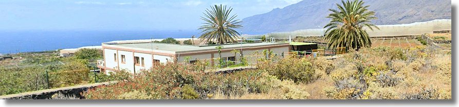 Finca auf El Hierro zum Kaufen