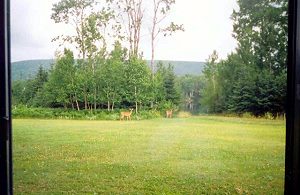 EngWestBay-6 EngWestBay-6