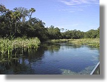 Everglades in Florida unweit der Ranch