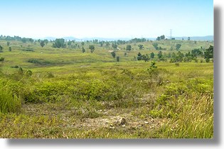 Grundst�ck bei Lembah Beringin und Kuala Lumpur in Malaysia