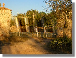 Finca Casita Grundstck auf Mallorca