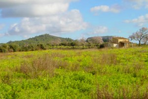 Finca Mallorca Spanien