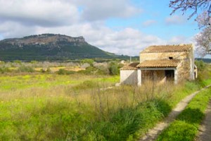 Finca-Grundstck Mallorca Spanien