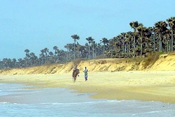 Strand in Gambia nah dem Hotel