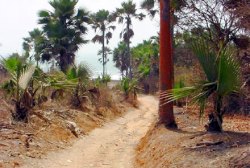 Weg vom Hotel zum Strand