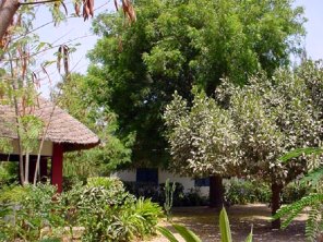 Club-Hotel Resort in Gambia Club-Hotel Resort in Gambia