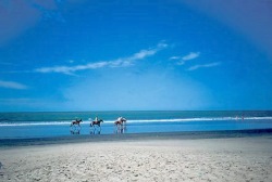 Strand und Meer unweit vom Hotel Bijilo