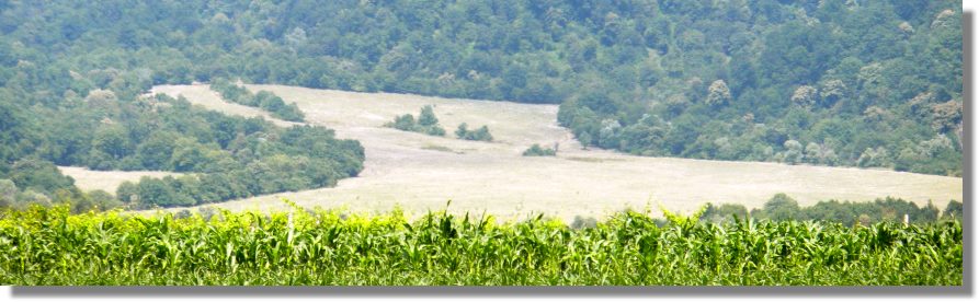 Georgien Grundstcke zum Kaufen vom Immobilienmakler