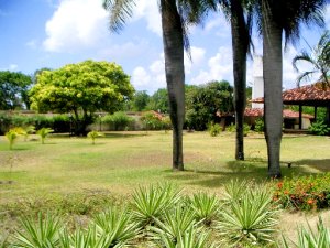 Grundstck der Strandvilla in Pau Amarelo