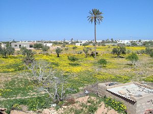 Wohnhaus auf Djerba in Midoun mit 4 Apartments zum Kaufen