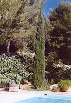 Haus mit Garten Toulon Sdfrankreich