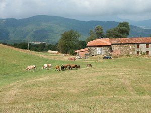 Grundstck fr die Huser und Villen in Albareto Italien