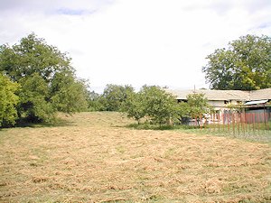 Grundstck vom Ausbauhaus in Bulgarien