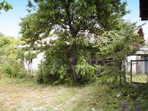 Grundstck vom Haus in Stioan Mihailovski