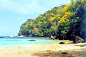 Bucht von Tobago - Pirates Bay