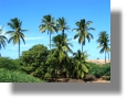 Immobilien Santiago Kap Verde