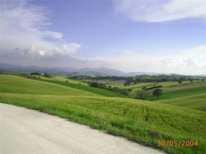 Ausblick vom Gasthof