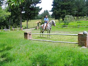 Pferde-Ranch in Ecuador