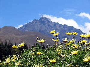 Grundstck der Ferienanlage