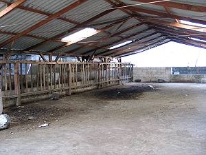 Stall der Ranch
