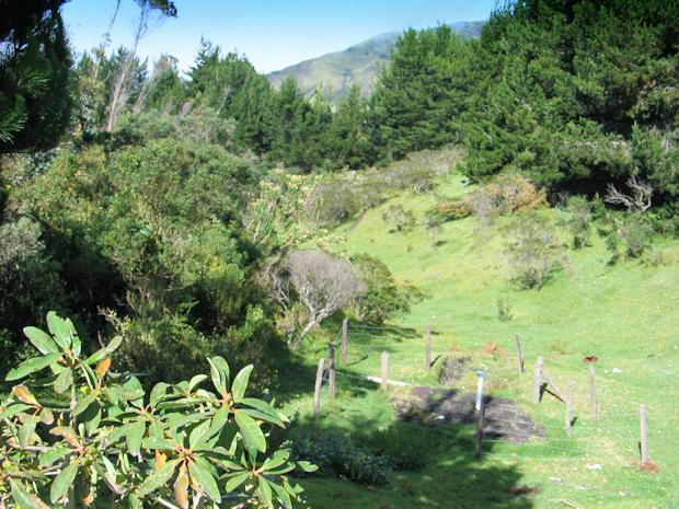 Pferderanch in Ecuador