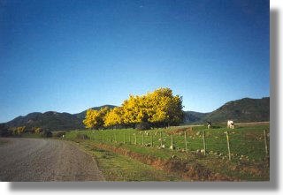 Grundstcke in Chile, Seegrundstcke Colbn