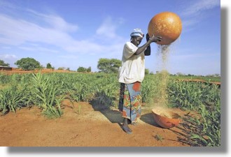 Farmland in Nigeria bei Ado Ekiti