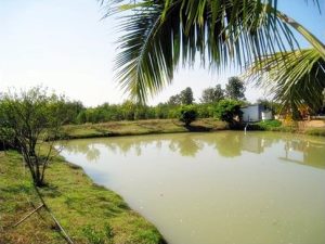 Wasserreservoir der Plantage