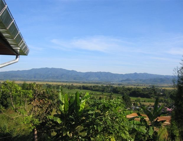 Blick zur Plantage in Thailand