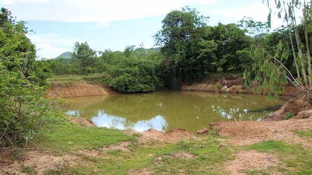 Farmland mit Wasserspeicher in Thailand