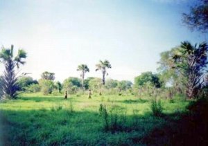 Farm in Tansania zum Kaufen