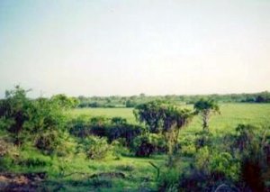 Farmland von Tansania