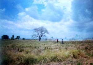 Bogamoyo Farmland