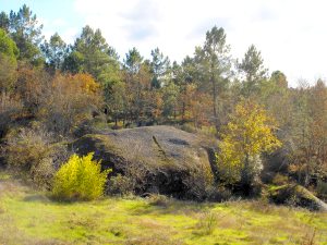 Naturgrundstck in Portugal