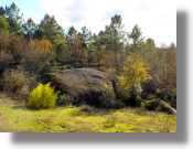 Finca, Grundstck Bauland in Portugal