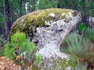 Grundstck mit Natursteinen