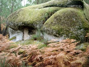 Finca-Grundstck in Portugal