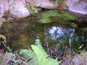 Wasser auf dem Grundstck