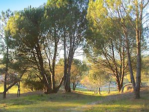 Serra da Estrela Grundstck zum Kaufen