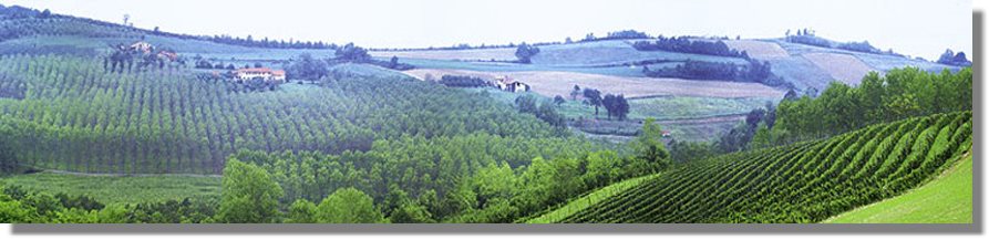 Grundstck in Italien im Piemont bei Bastia Mondovi