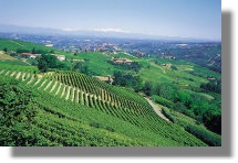 Bastia Mondovi Grundstck in der Region Piemont